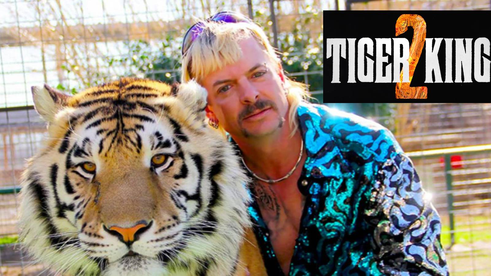 Tiger King 2 Joe Exotic Netflix