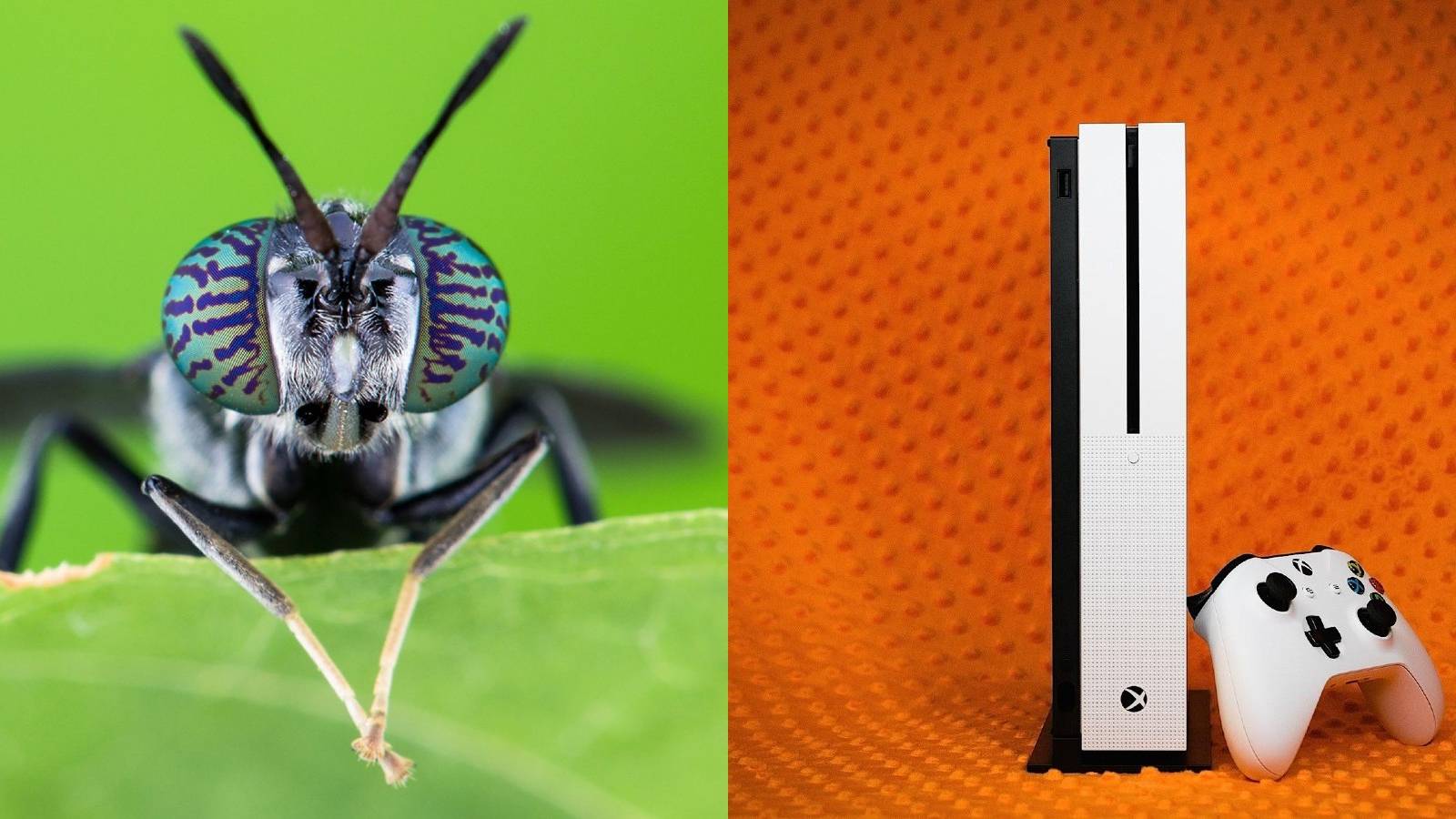 Xbox One User Gets Fly Stuck in Power Button