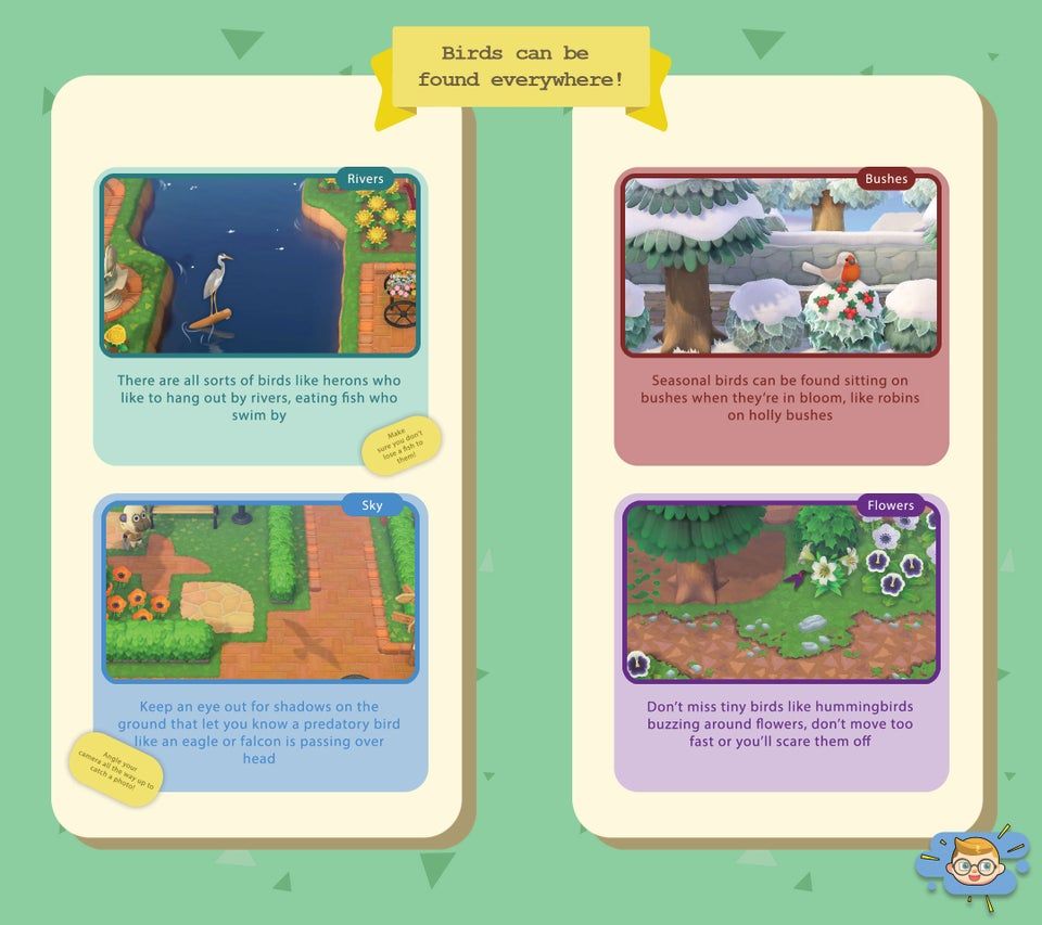 Bird Critter locations Animal Crossing