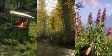 building a fishing pole new world split image workshop forest hemp