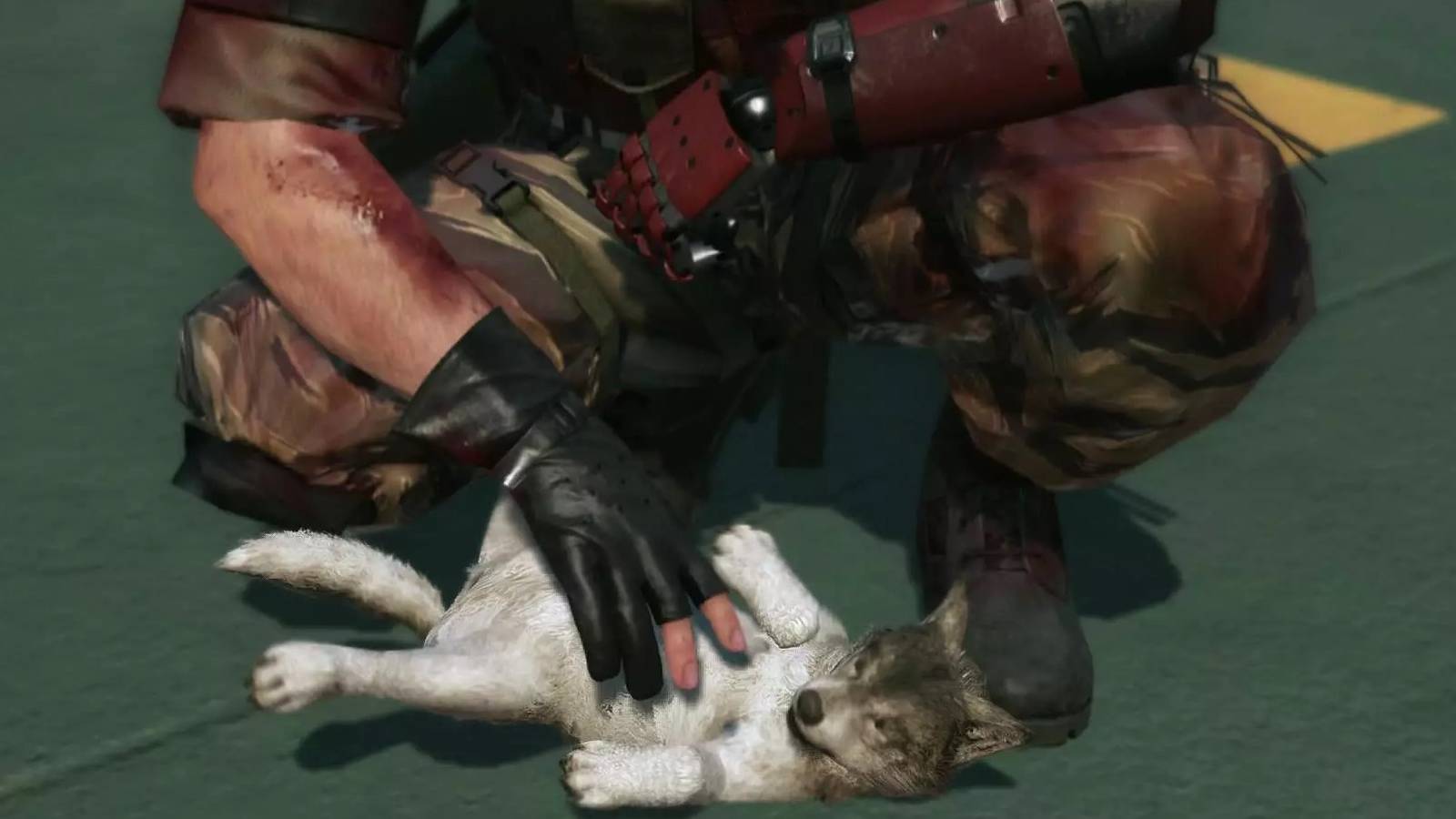 can-you-pet-the-dog-research-survey