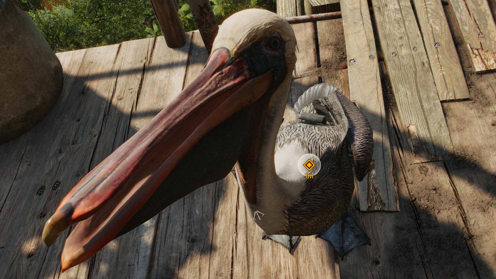 far cry 6 a little birdie told me