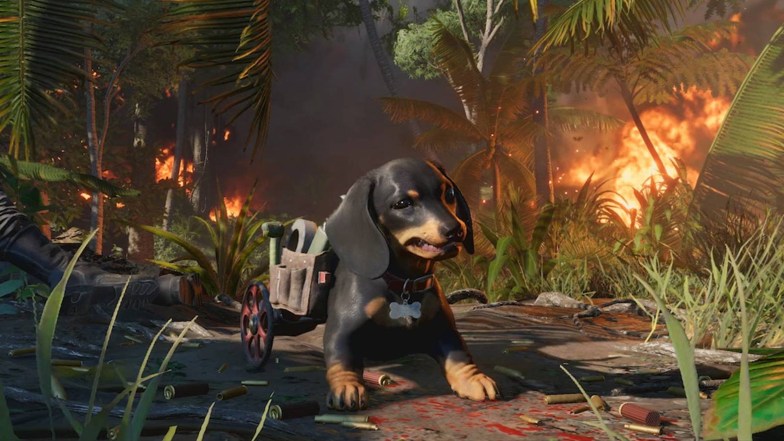 far cry 6 mysterious key chest location