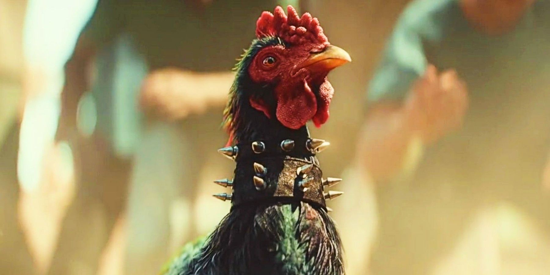 a rooster in far cry 6