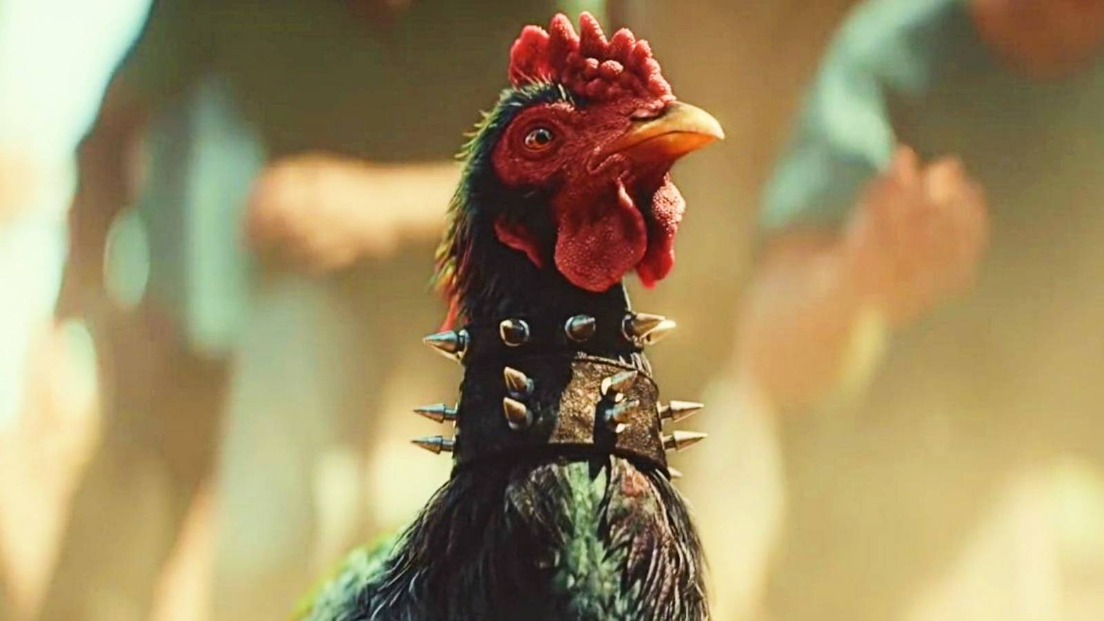 a rooster in far cry 6