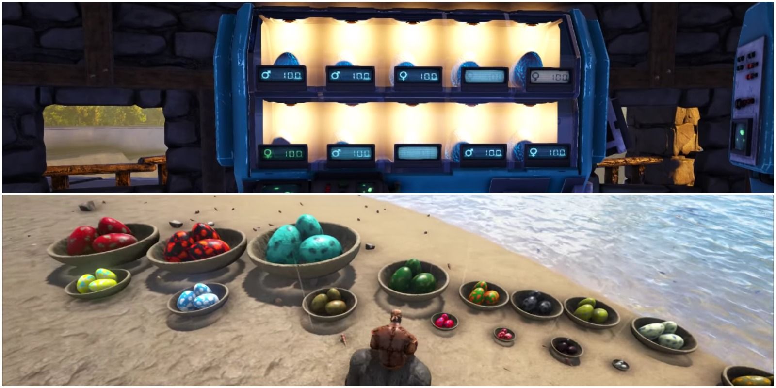 feature image ark survival evolved egg incubator guide egg incubator being used and eggs on a beach