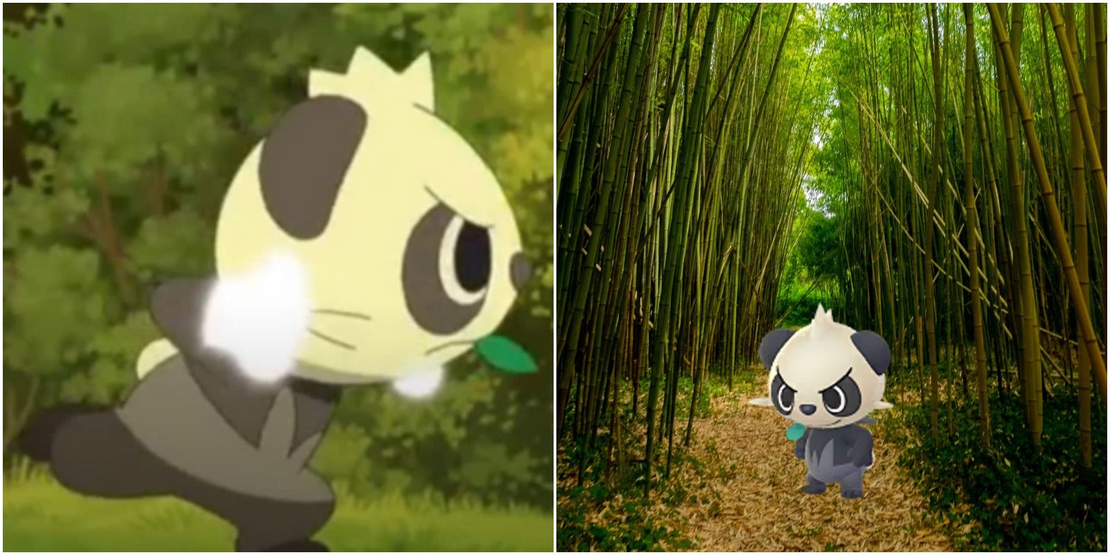 feature image pokemon go pancham best move guide pancham in anime using an attack and pancham in pokemon go in a bamboo forest