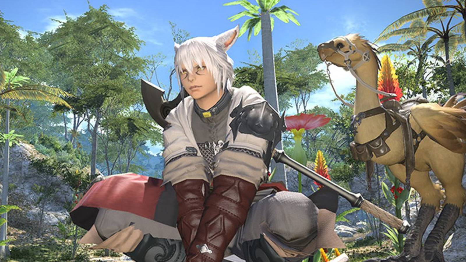 final-fantasy-14-character-kneeling-in-front-of-chocobo