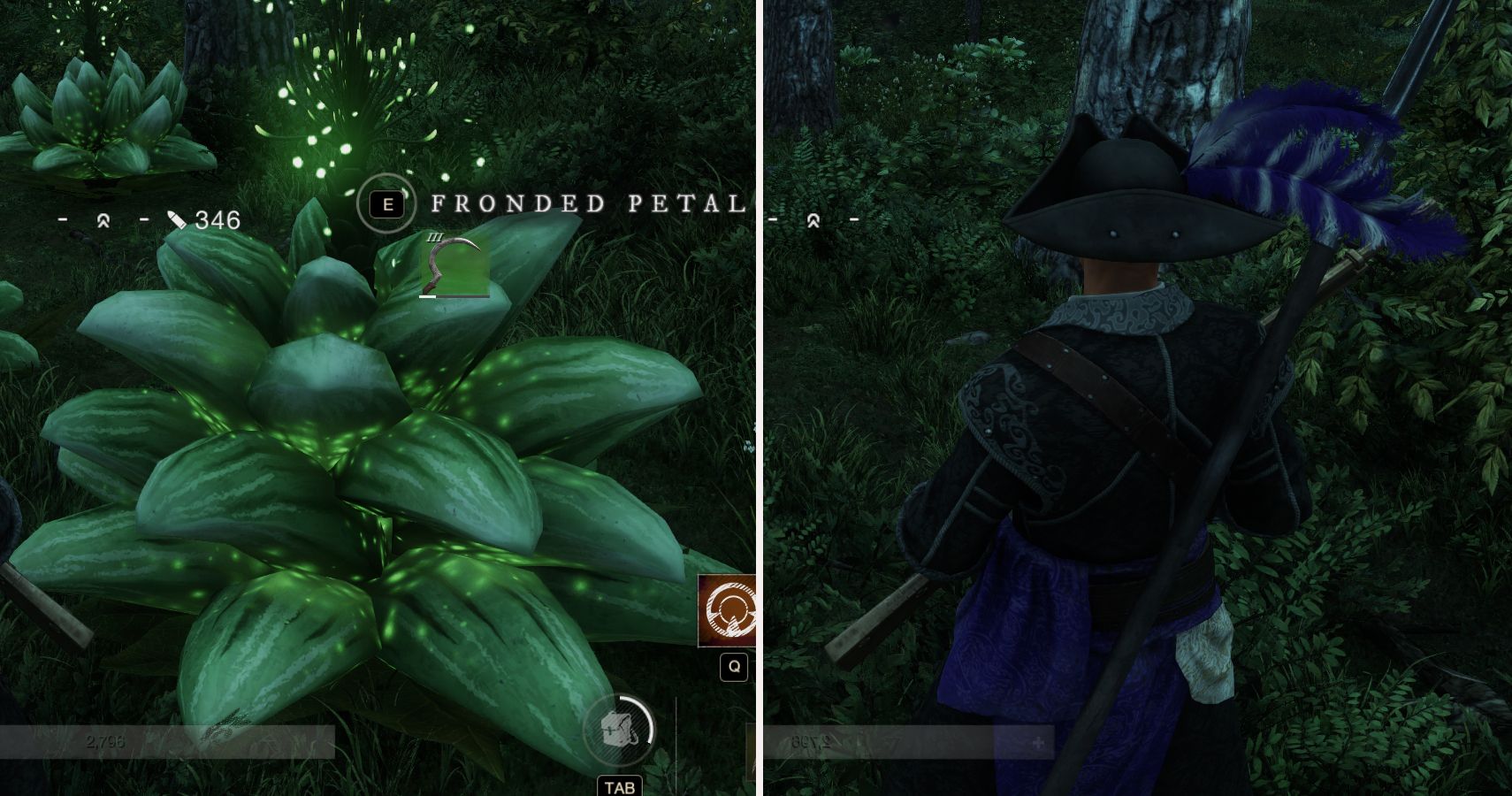 fronded Petalcap new world feature
