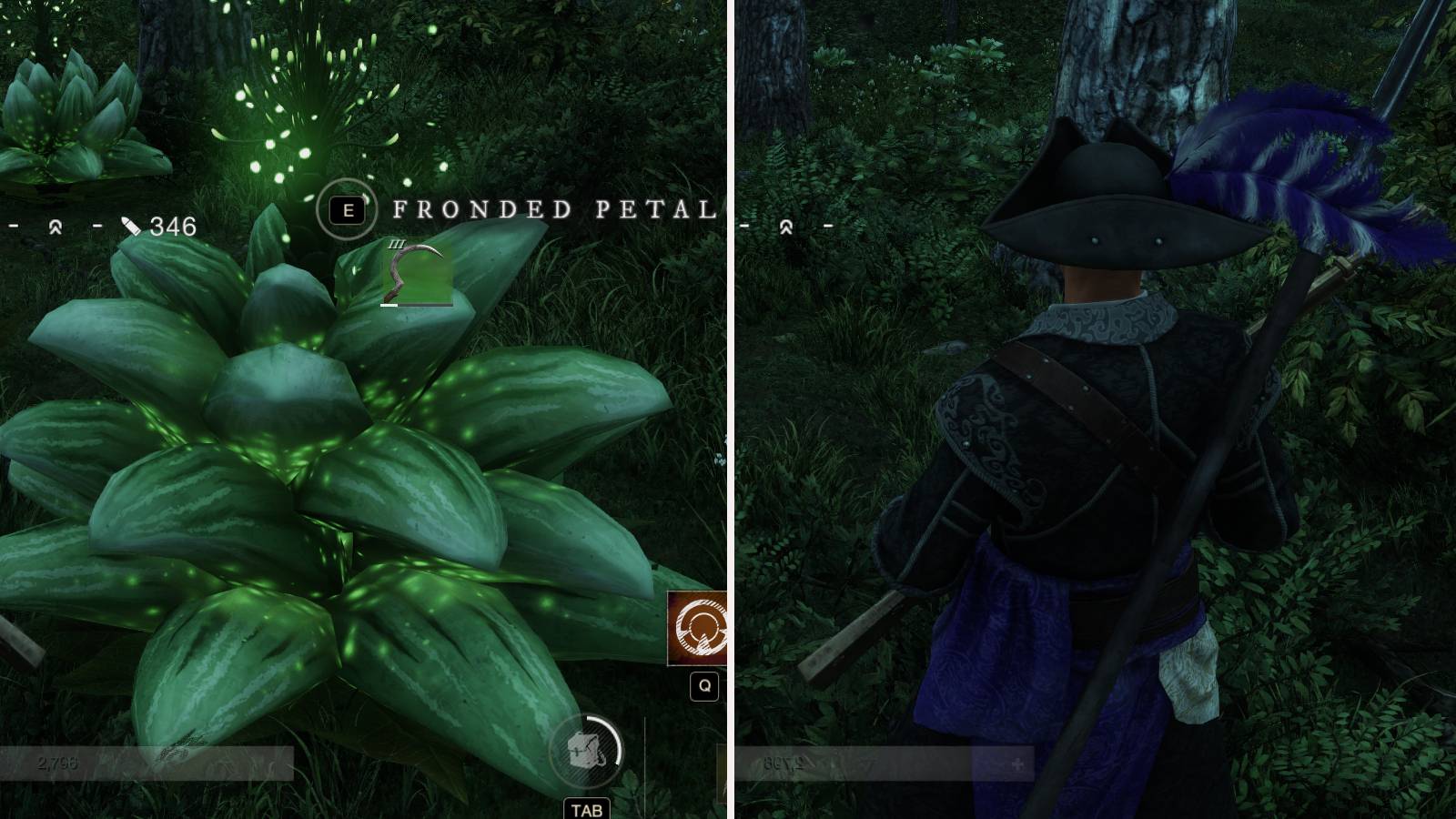 fronded Petalcap new world feature
