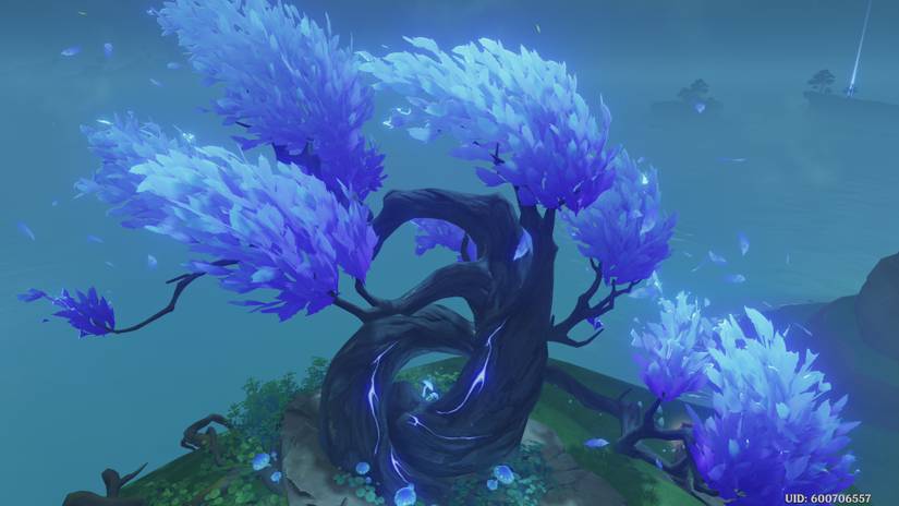 perch transformation 