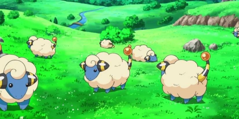 Herd of Mareep. 