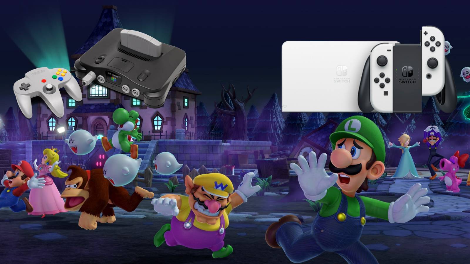 n64 nintendo switch controllers accessibility warning