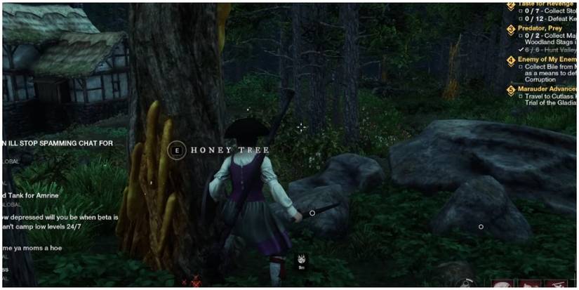 new world honey tree