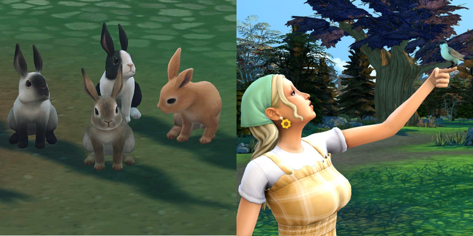 The Sims 4 birds and rabbits feature