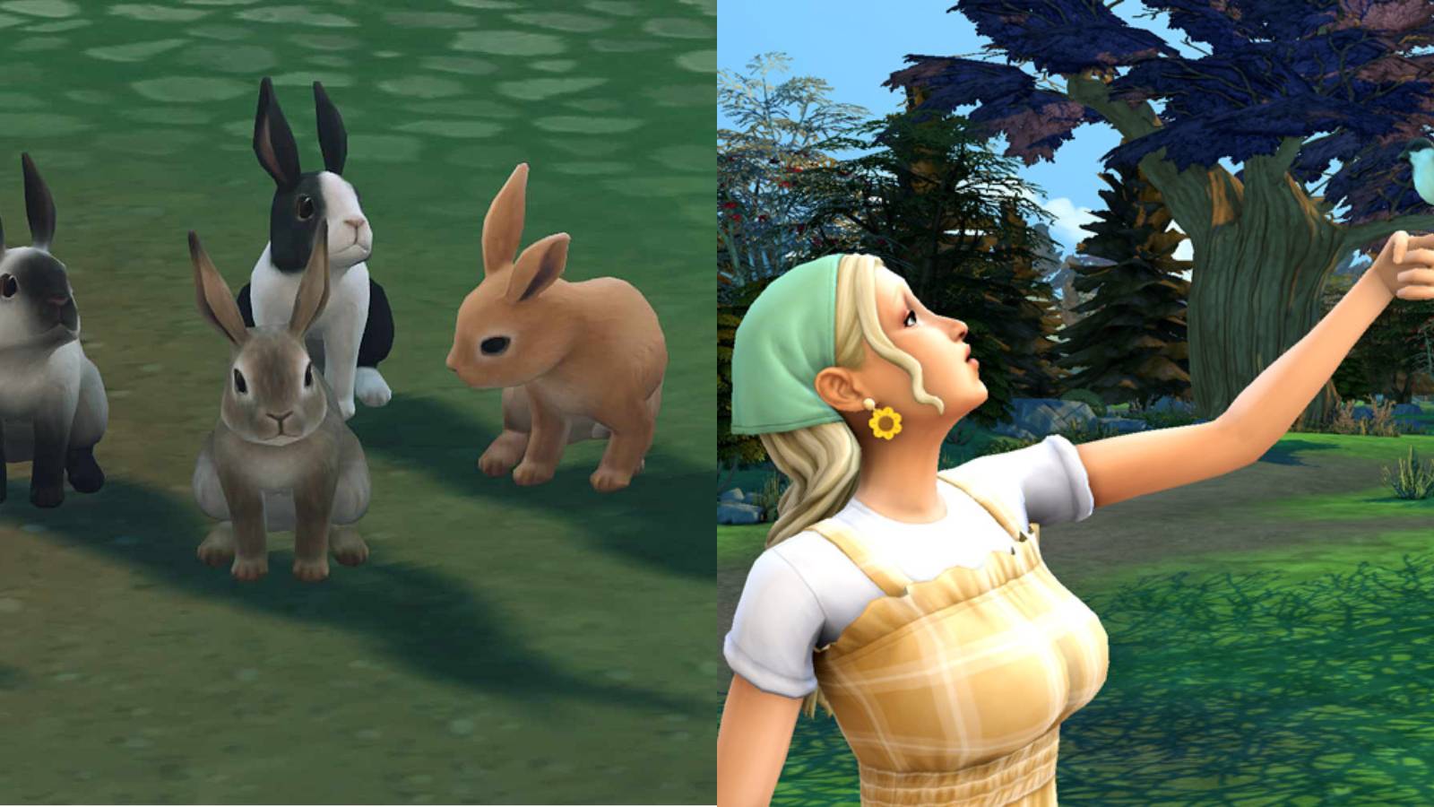 The Sims 4 birds and rabbits feature