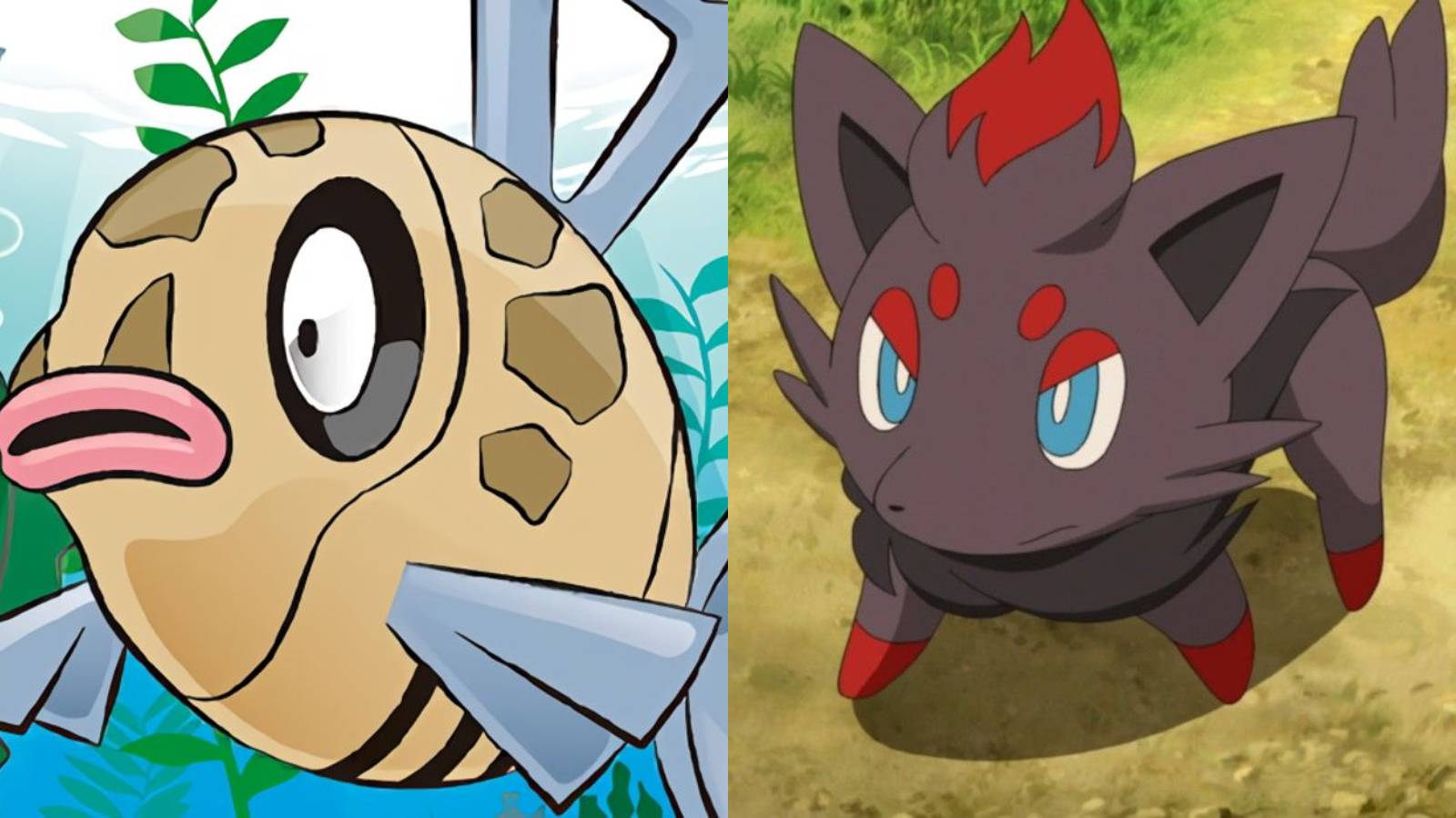 feebas (left); zorua (right)