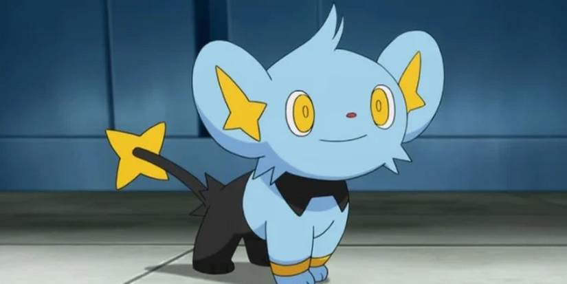 pokemon anime shinx feature