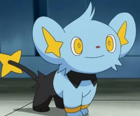 Shix Early Route Pokemon That Everyone Uses