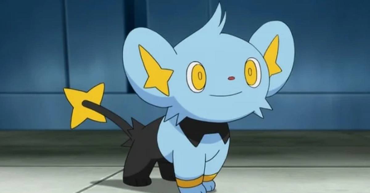 Shinx Level X Eevee X Shinx