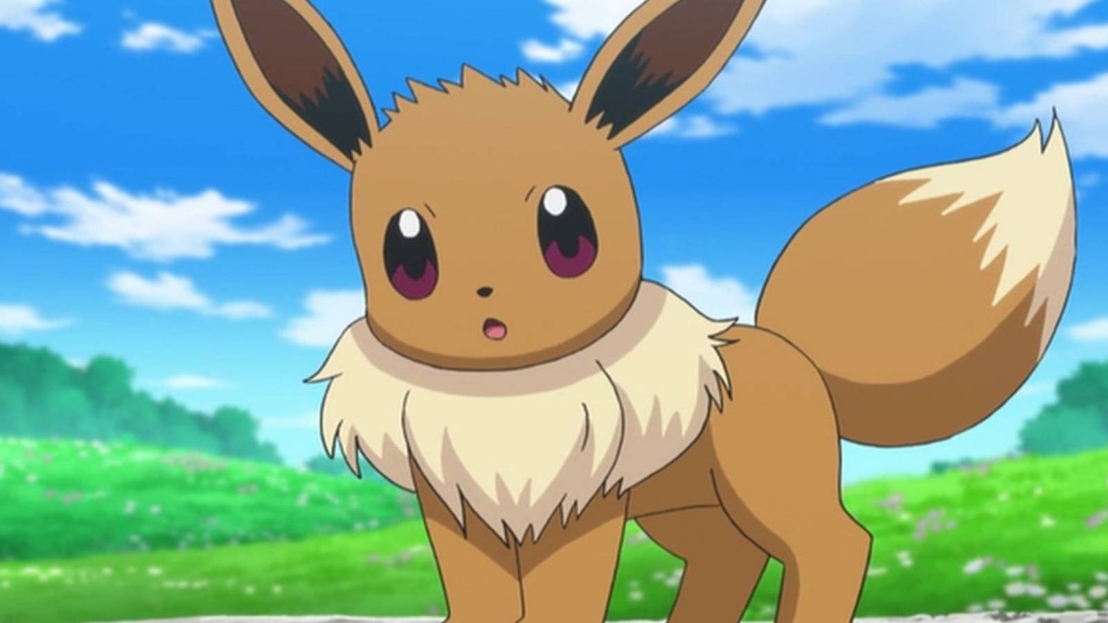 Eevee in Pokemon