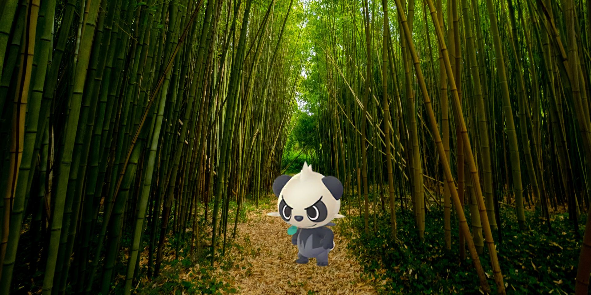 pokemon go pancham in bamboo forest