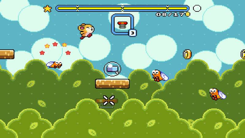 willem rosenthal tomo camp interview october 2021