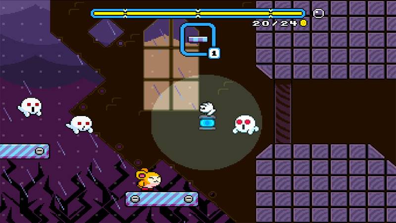 willem rosenthal tomo camp interview october 2021