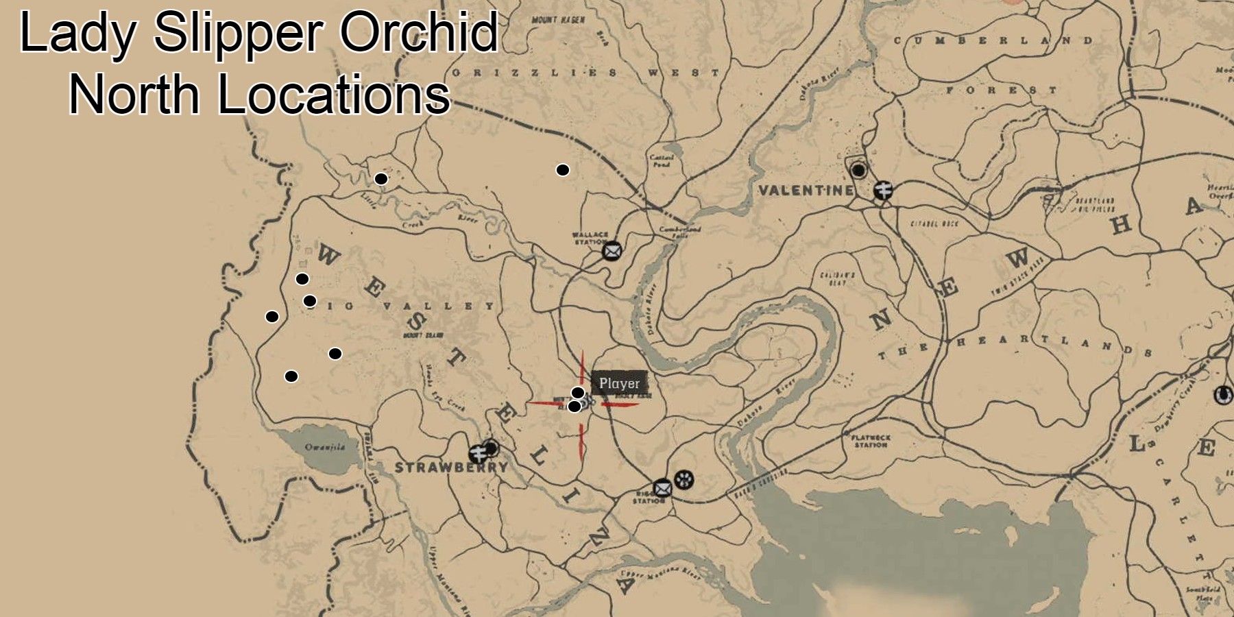 rdr2 lady slipper north map