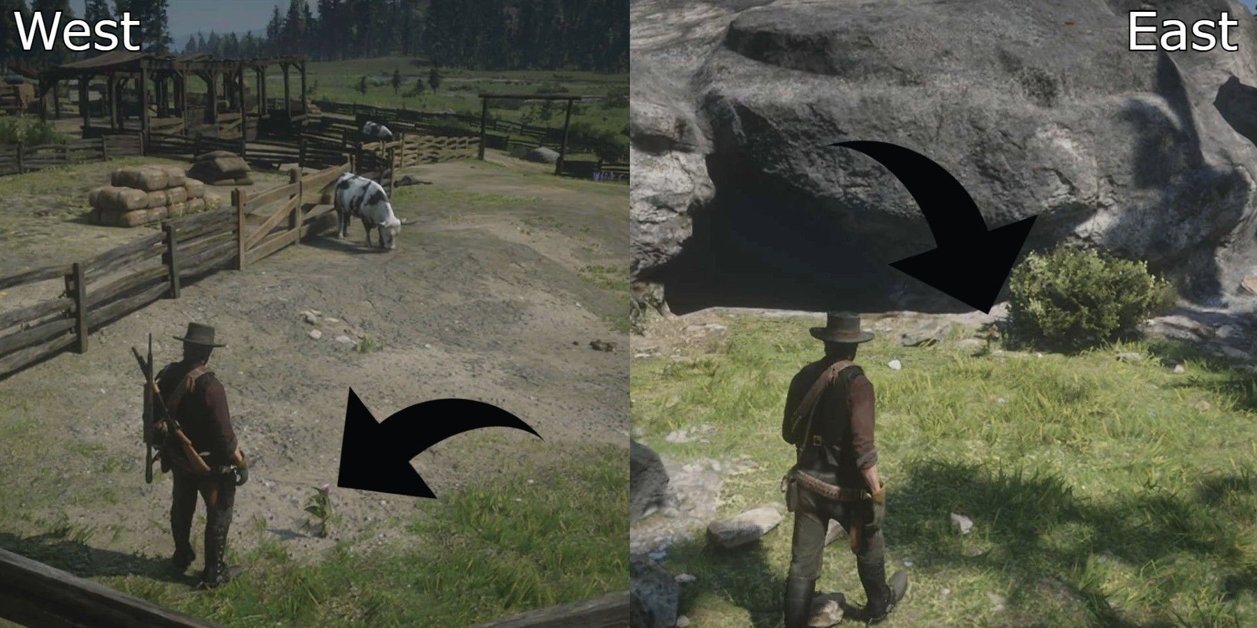 rdr2 lady slipper orchid locations