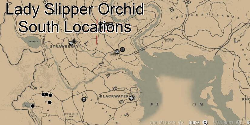 rdr2 lady slipper orchid map south
