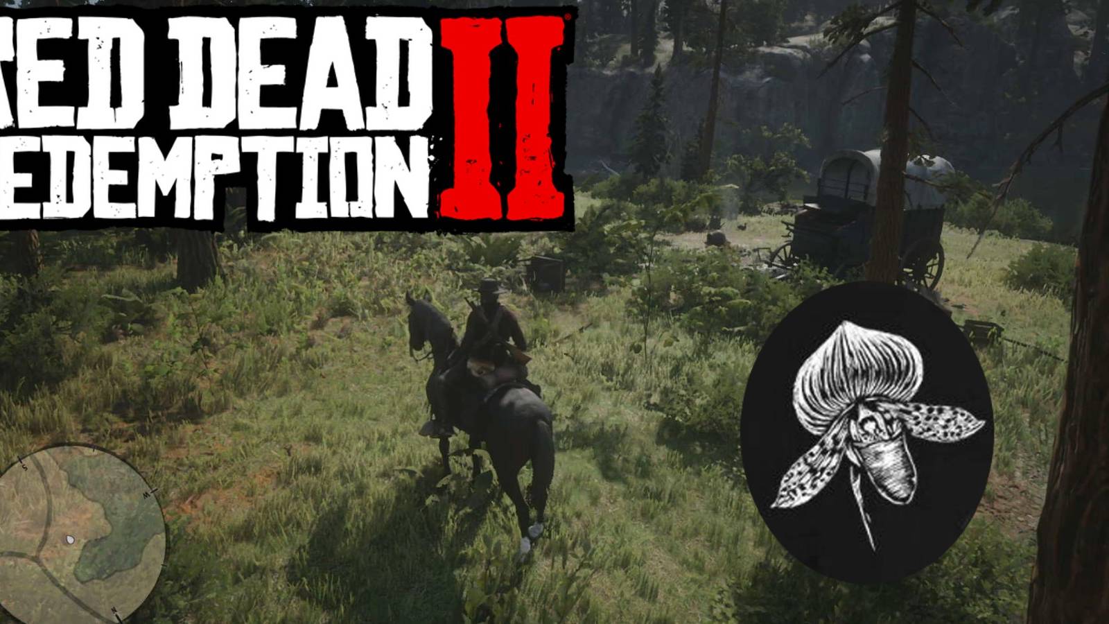 rdr2 logo and lady slipper orchid