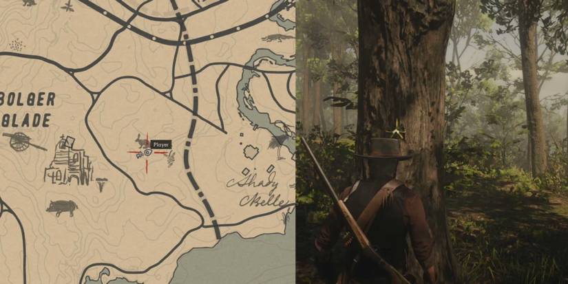 Red Dead Redemption 2: How To Find Every Night Scented Orchid