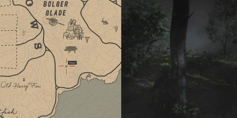 Red Dead Redemption 2: How To Find Every Night Scented Orchid