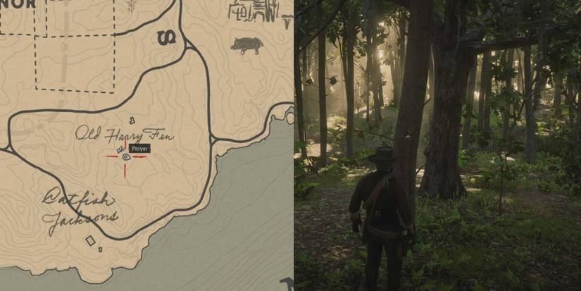 Red Dead Redemption 2: How To Find Every Night Scented Orchid