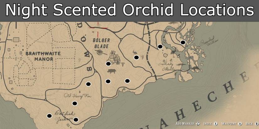 rdr2 night scented orchid locations
