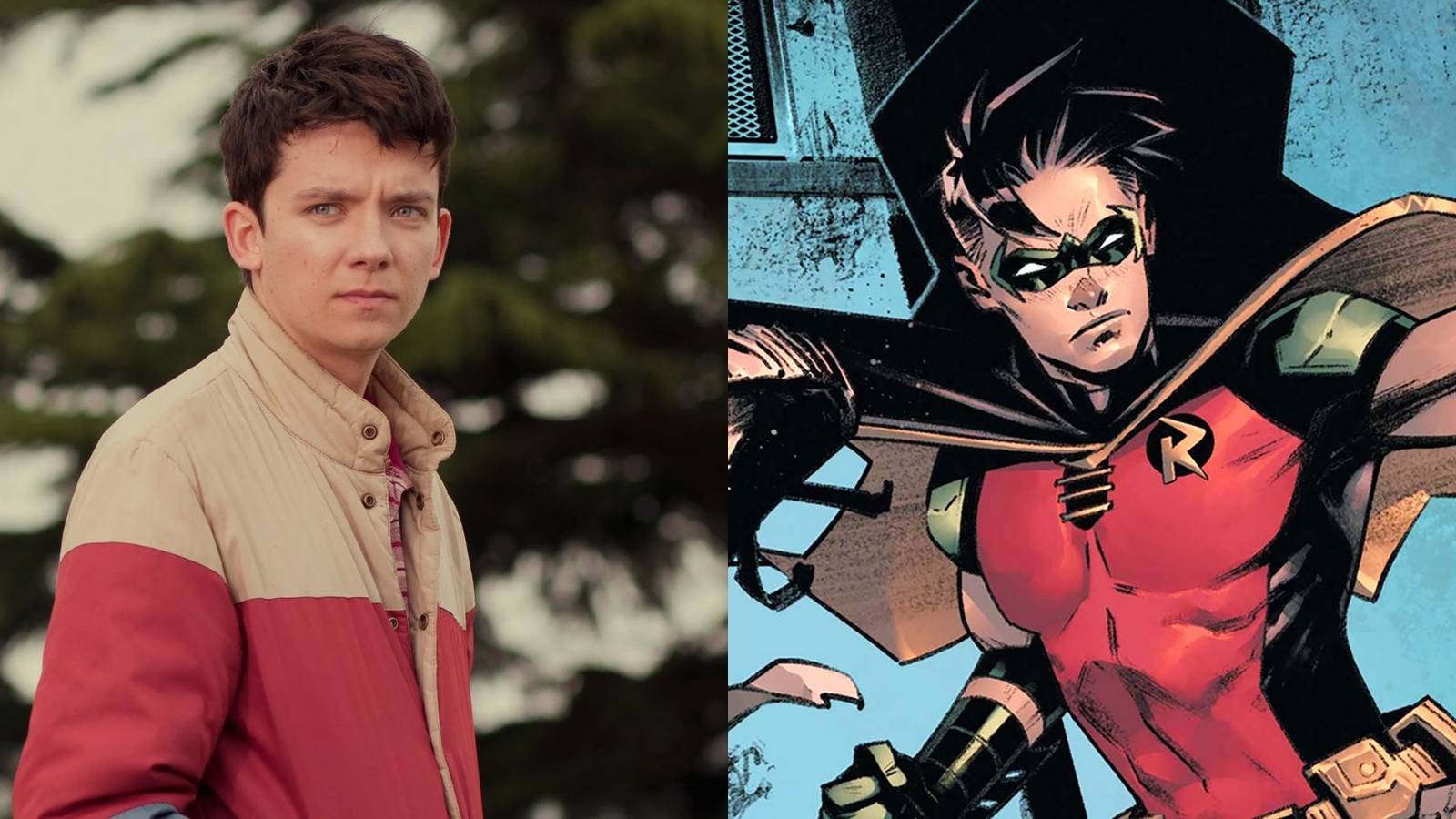 recastthebatmanrobin