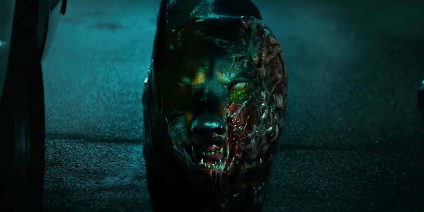 resident-evil-raccoon-city-dog-header