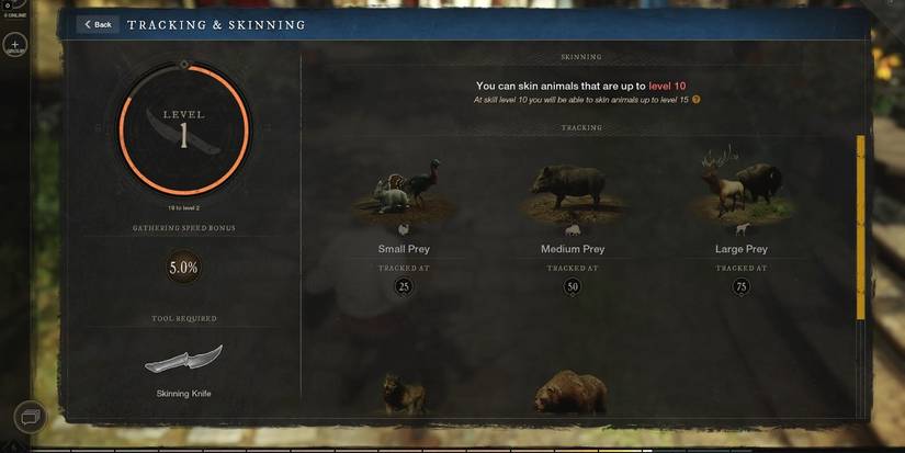 New World skinning skill