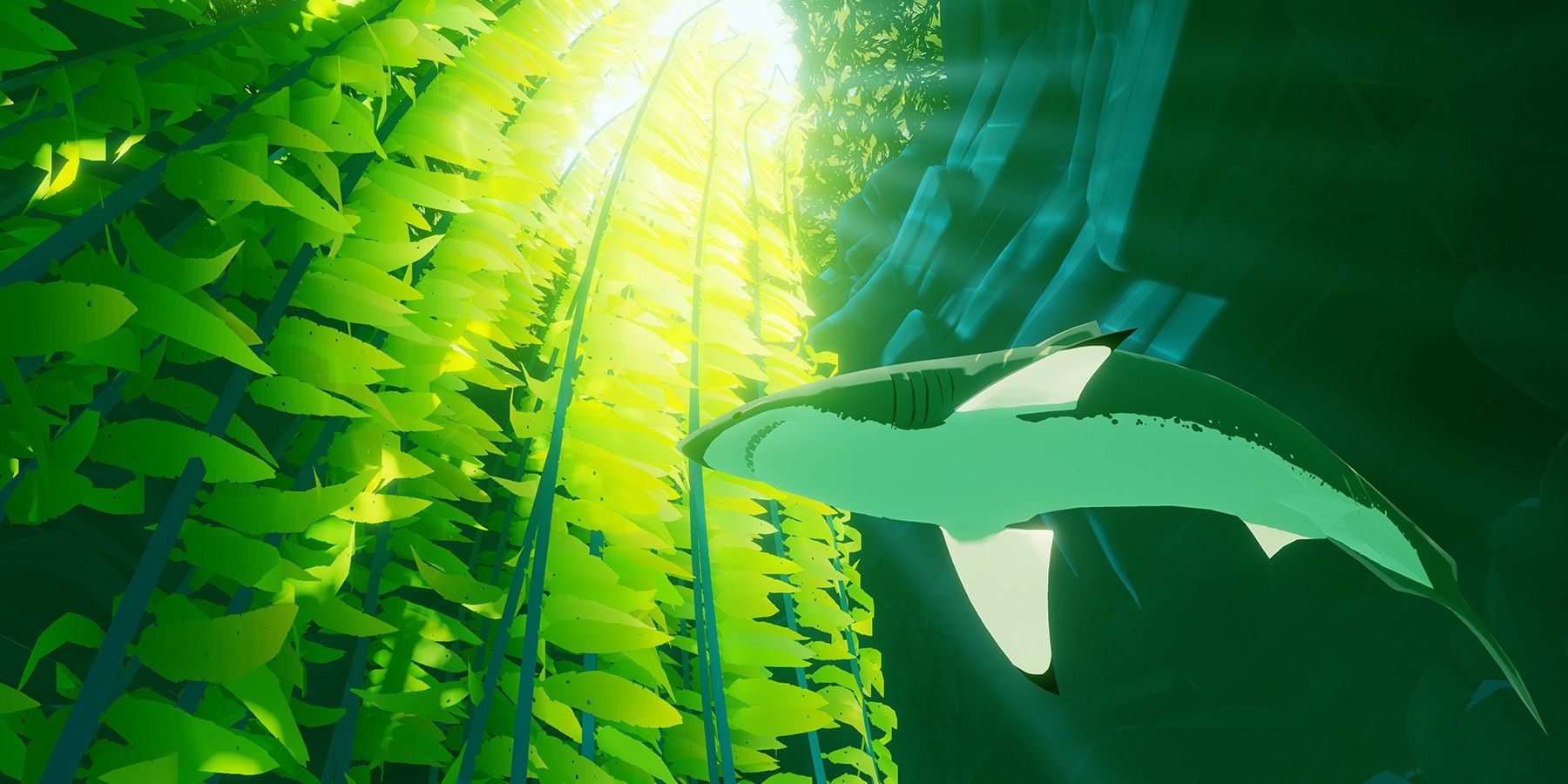 Shark in kelp forest. 