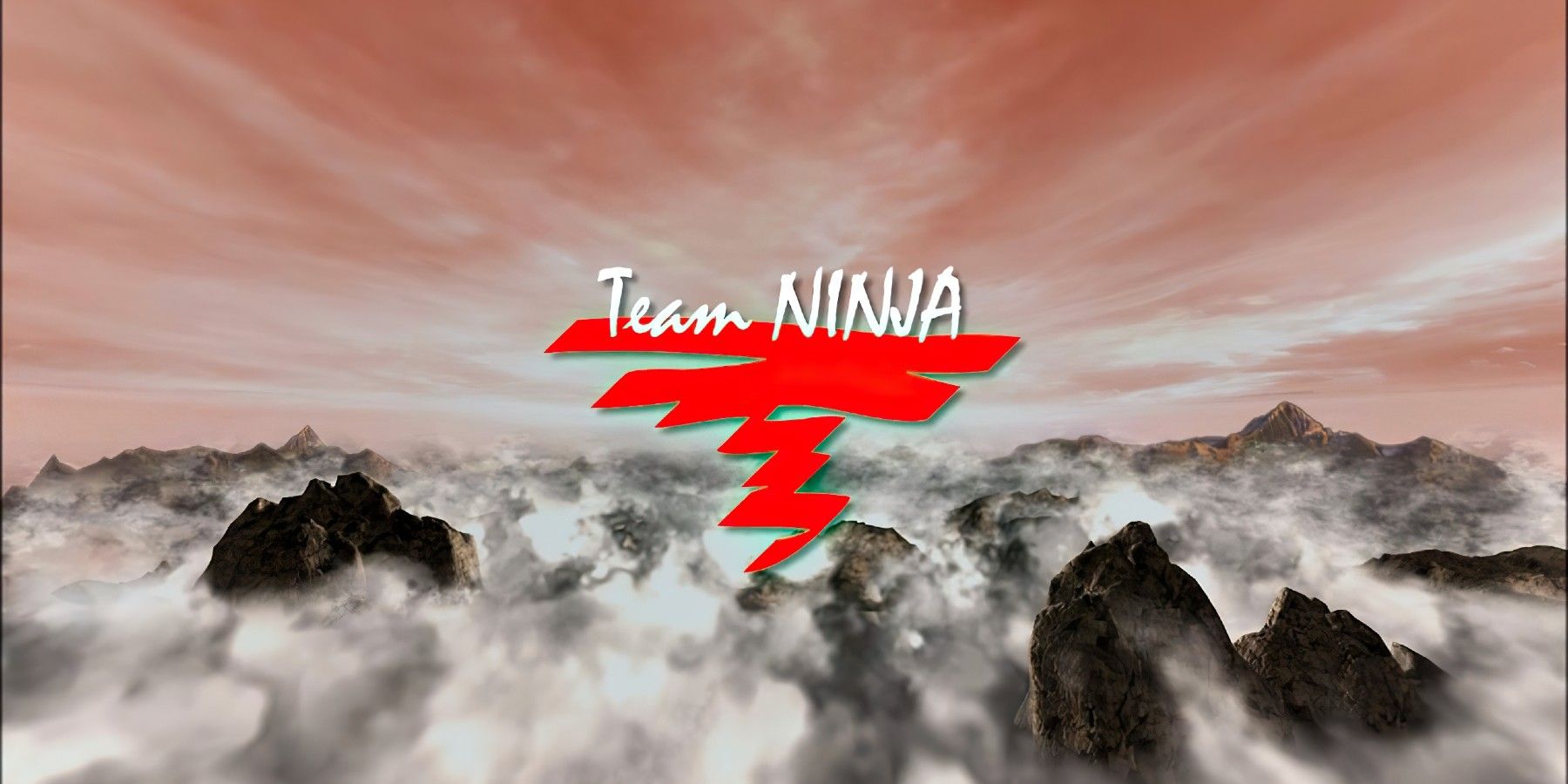 the logo for developer Team Ninja