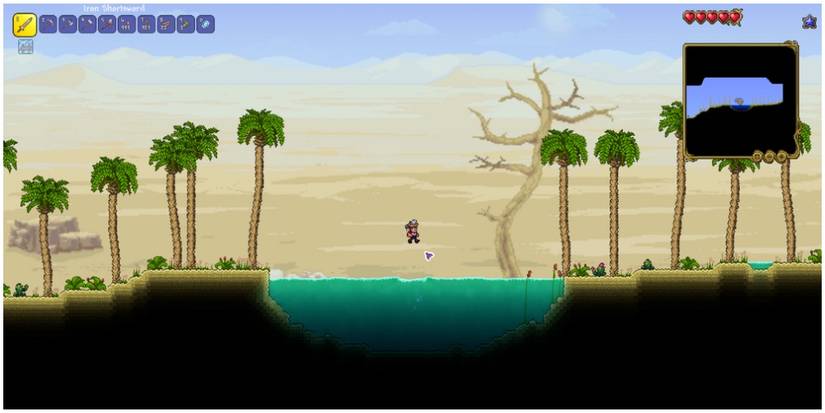 terraria oasis sub biome in a desert biome