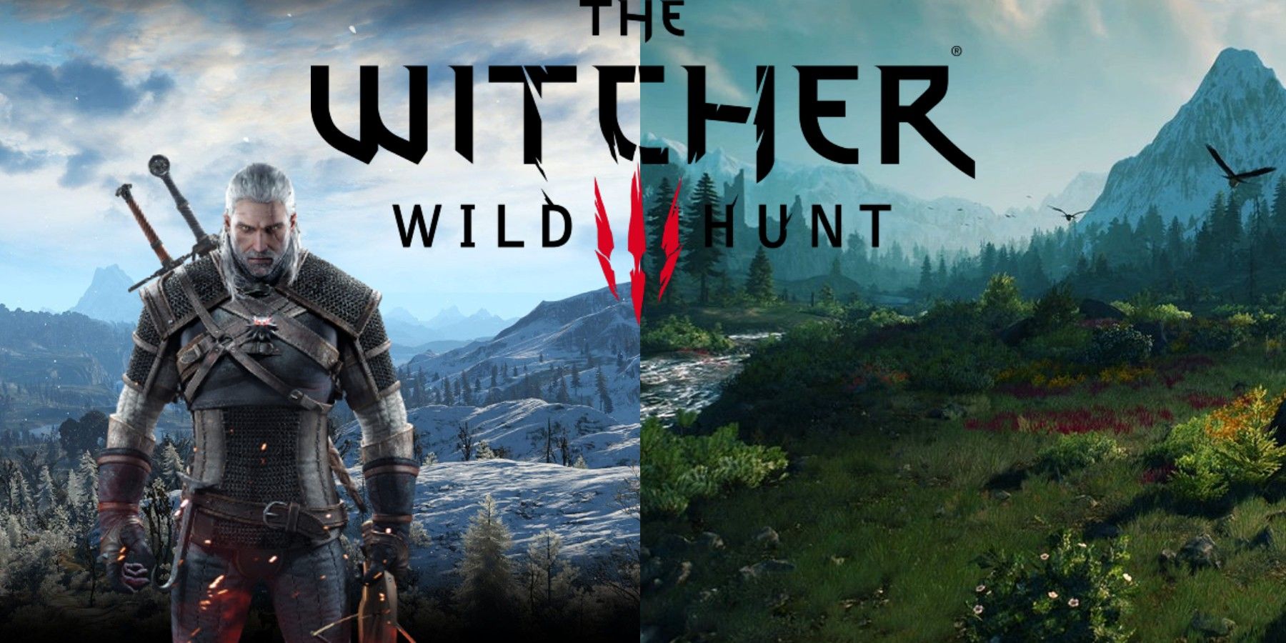 the witcher 3 background