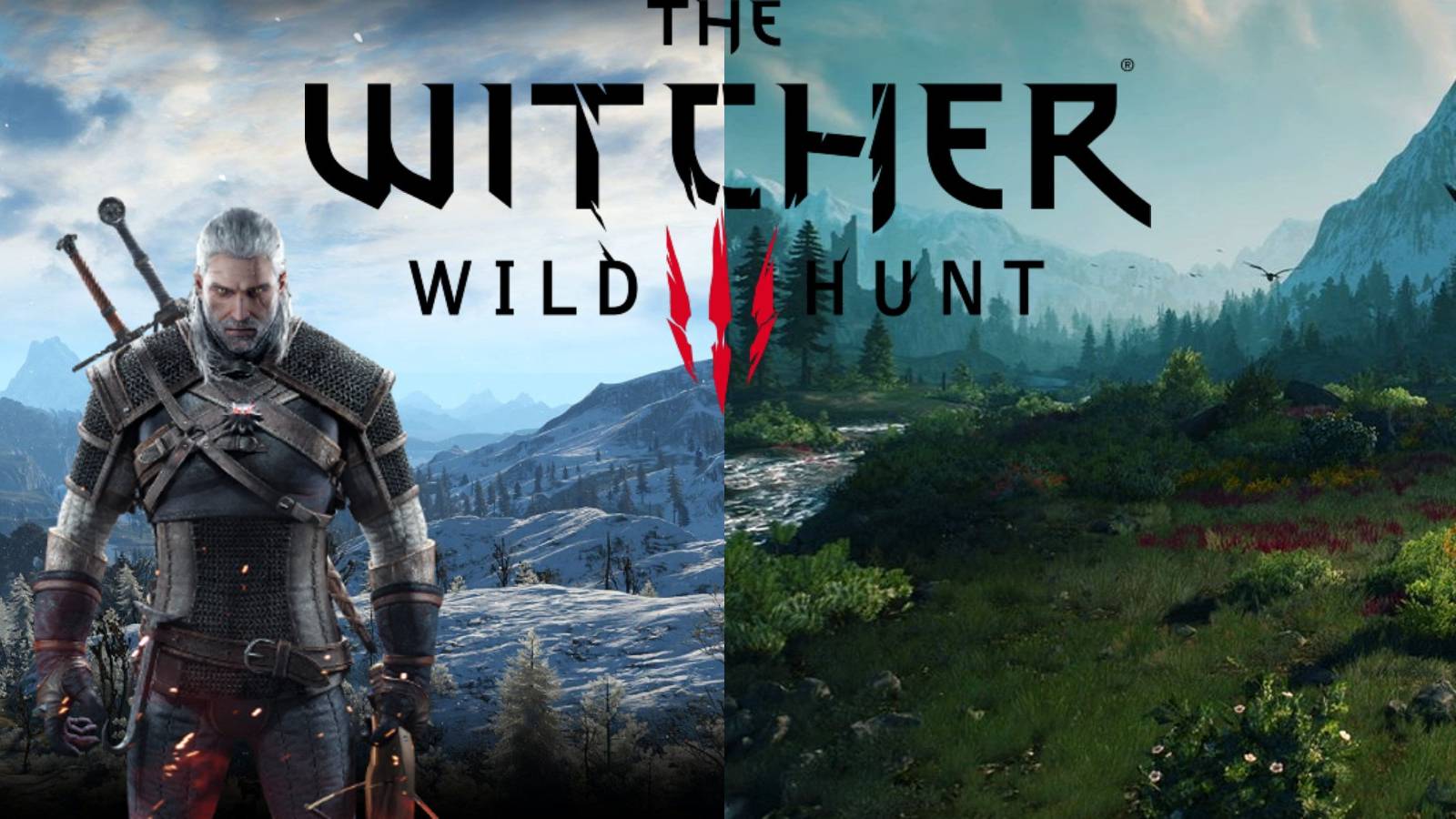 the witcher 3 background