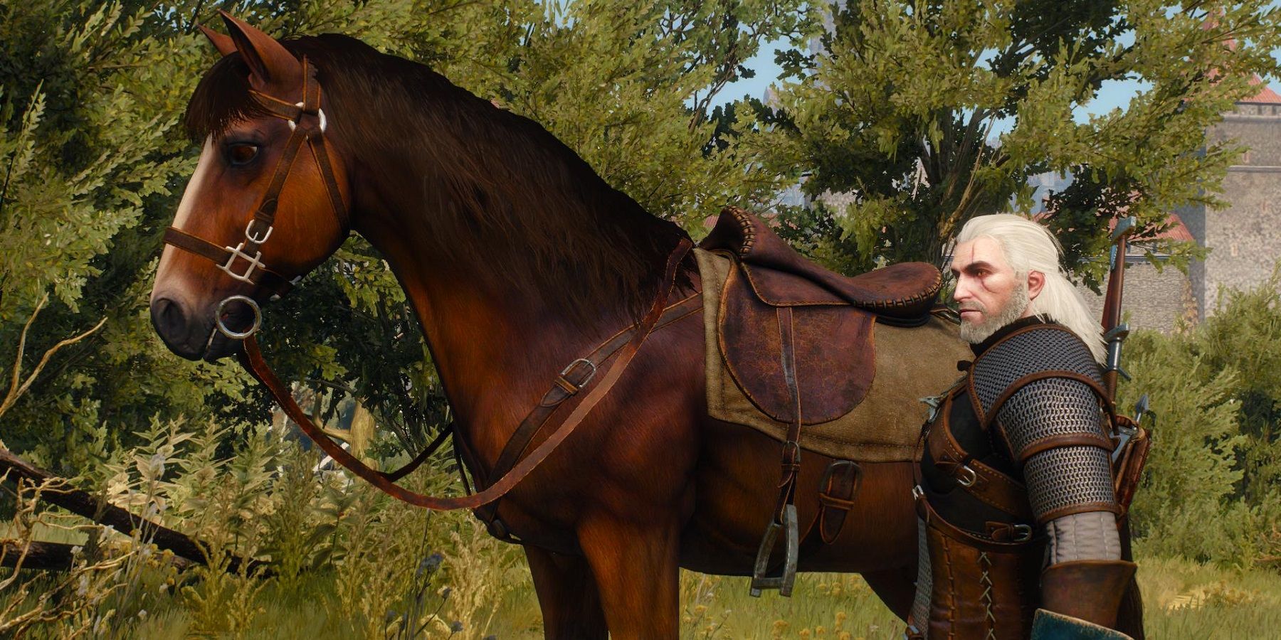 the witcher 3 horse feature