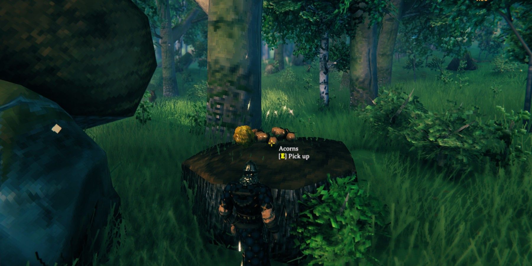 Valheim How To Get Oak Seeds