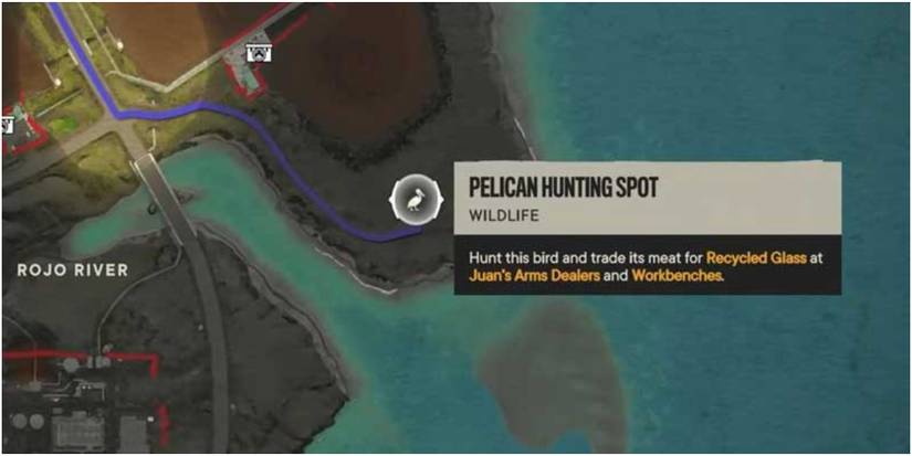 Pelican Hunting Spot