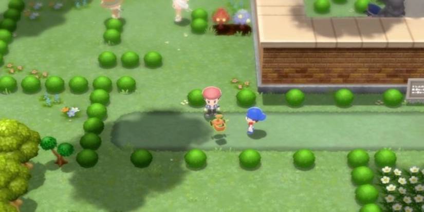 pokemon brilliant diamond shining pearl route 212 trophy garden