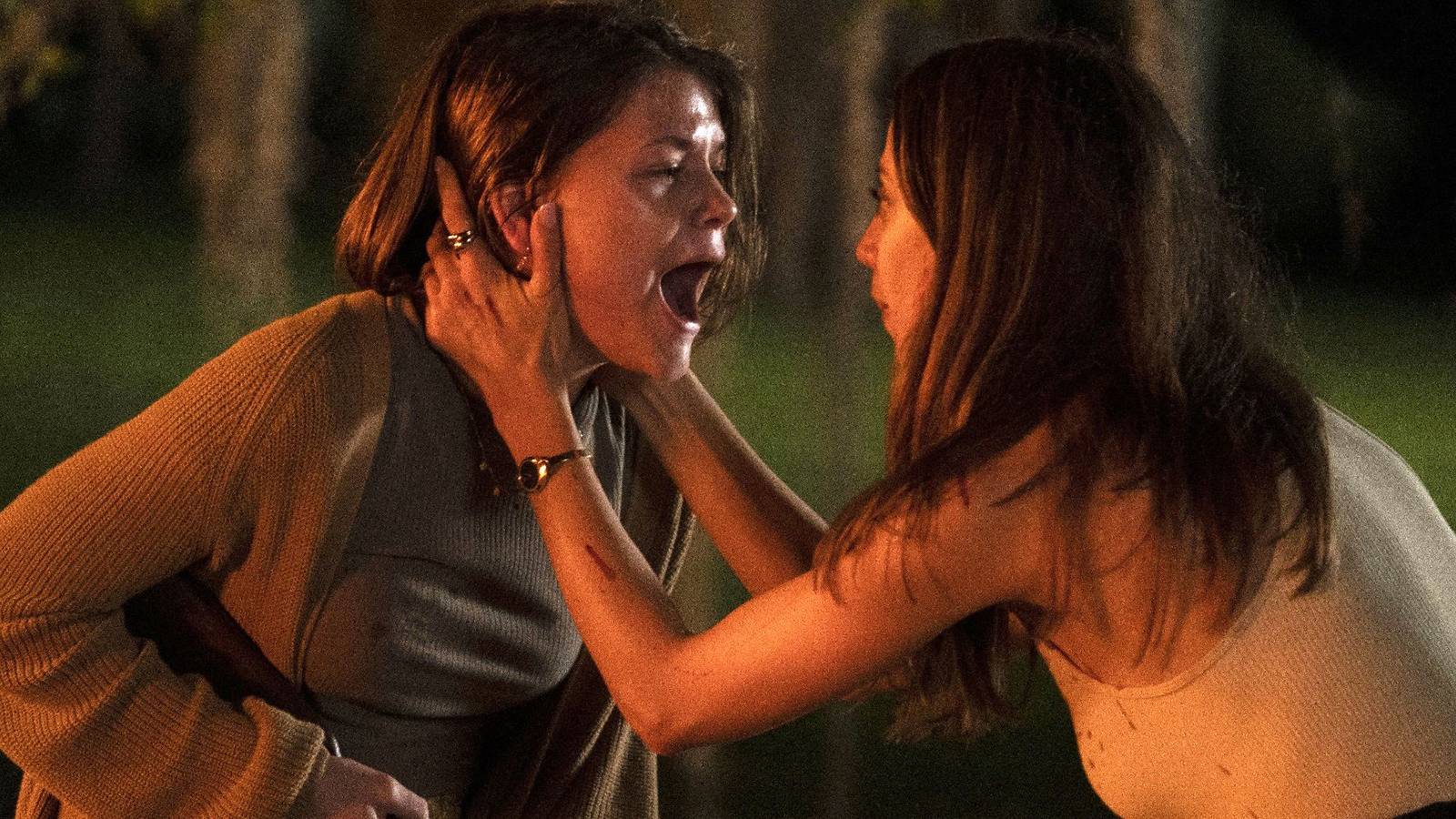 A-House-On-The-Bayou