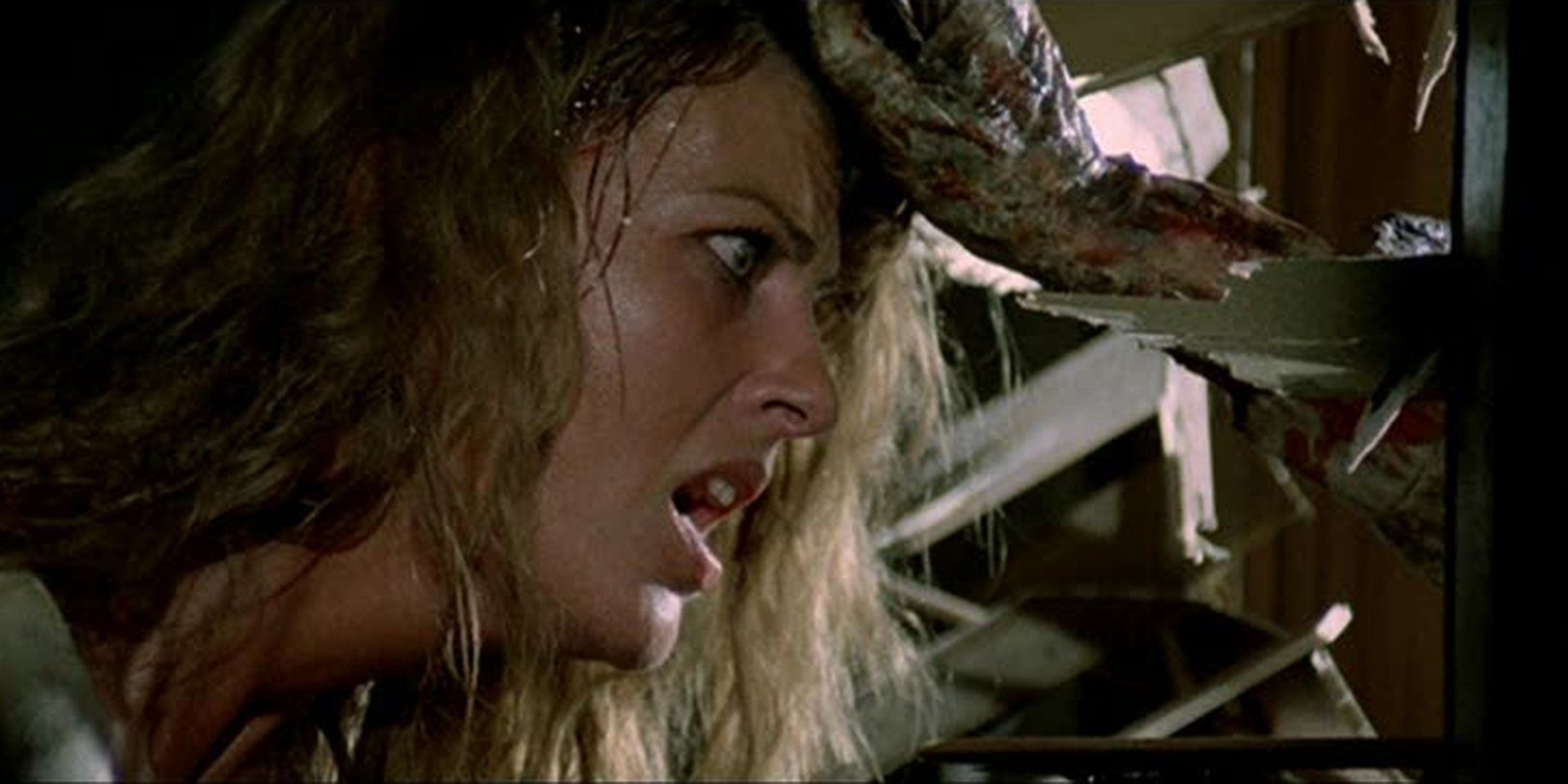A woman's eye is impaled in Zombie Flesh Eaters